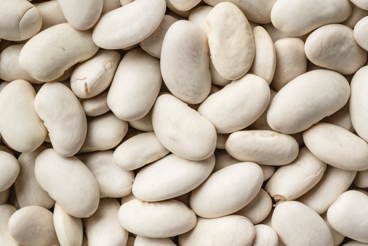 image-blogpost-alimentos-que-ayudan-a-regular-tu-colesterol-y-te-hacen-sentir-mas-ligera-masthead