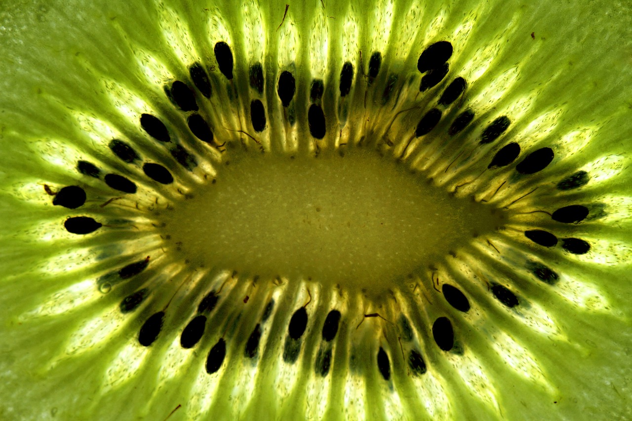 desde-el-desayuno-hasta-la-cena-el-kiwi-es-la-estrella-de-tus-platos