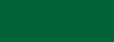 image-home-siente-el-zing-desktop-masthead.png